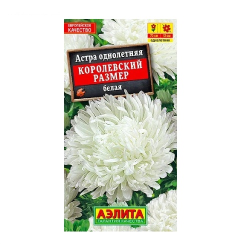 Астра Королевский размер Белая  0_1гр_10
