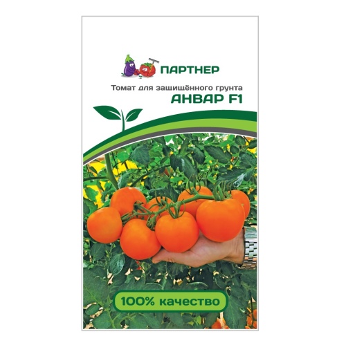 Томат Анвар F1  5шт_10