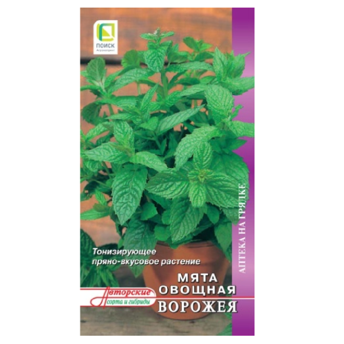 Мята перечная Ворожея_Аптека на грядке  0_1гр_10