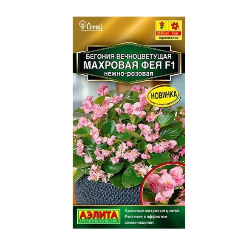 Бегония Фея нежно-розовая F1 махровая вечноцветущая 5шт_10