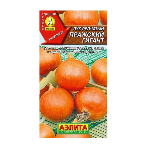 Лук репчатый Пражский гигант 0_2гр_10