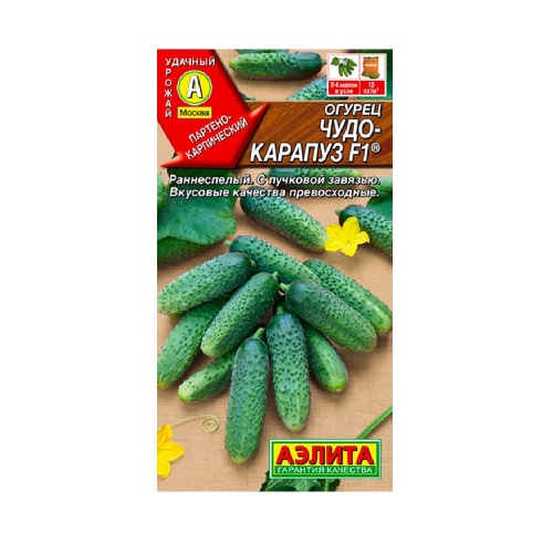 Огурец Чудо карапуз F1  10шт_10