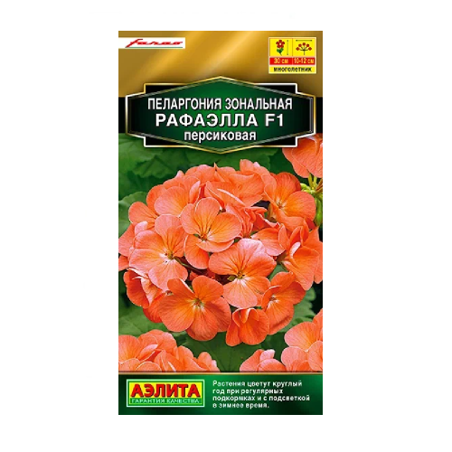 Пеларгония Рафаэлла персиковая F1 5шт  _10
