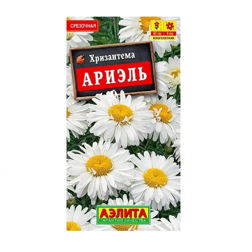 Хризантема Ариэль 0_1гр  _10