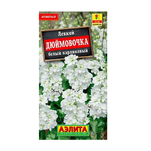 Левкой карликовый Дюймовочка белый 30шт  _10