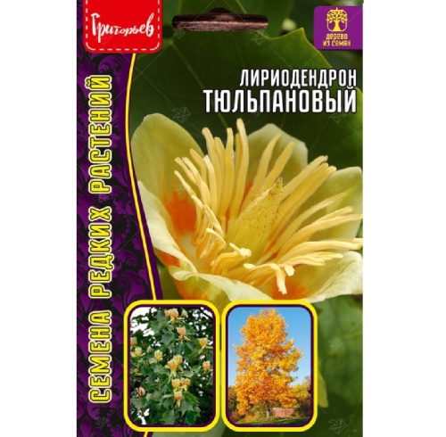 Лириодендрон Тюльпановый 5шт_10