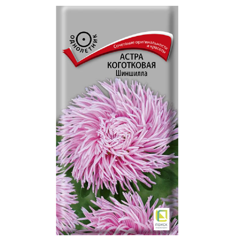 Астра коготковая Шиншилла  0_3гр_10