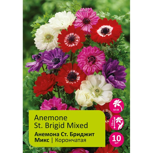 Анемона Ст. Бриджит Микс корончатая 10шт 6_7  _Anemone St. Brigid mixed