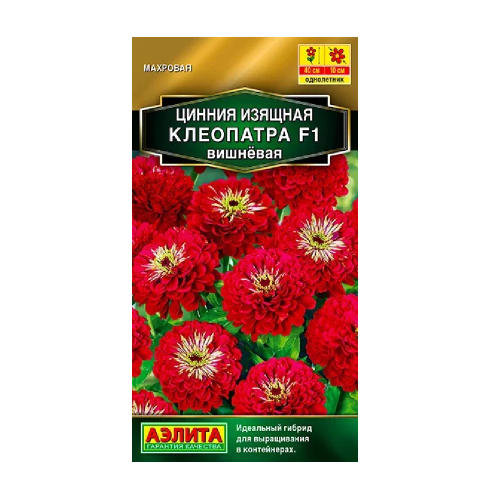 Цинния Клеопатра F1 вишневая 12шт  _10