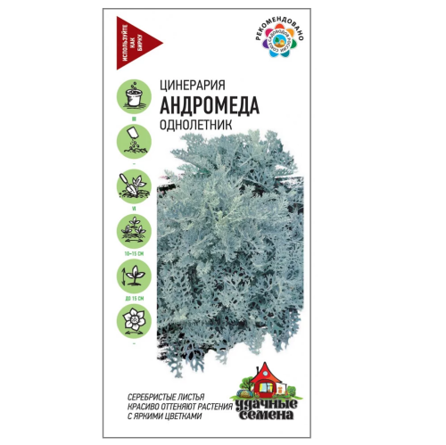 Цинерария Андромеда_Удачные семена  0_05гр