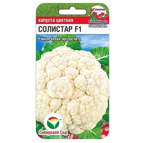 Капуста цветная Солистар  10шт _10
