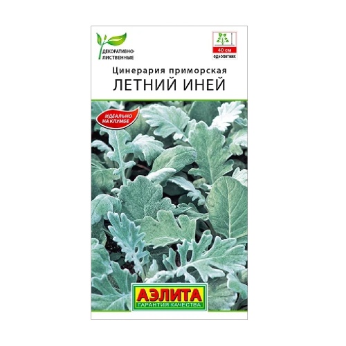 Цинерария Летний Иней 0_05гр_10