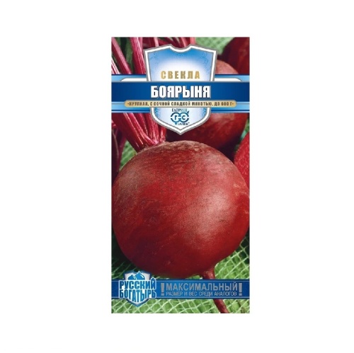 Свекла Боярыня_Русский богатырь  2гр_10