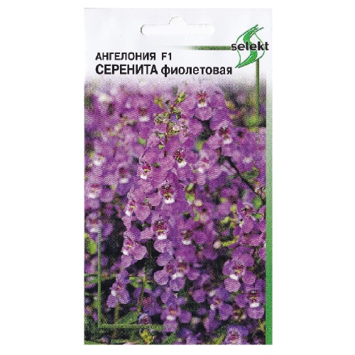 Ангелония Серенита F1 фиолетовая  3шт_10