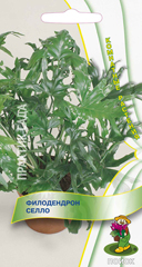 Филодендрон селло  3шт_10