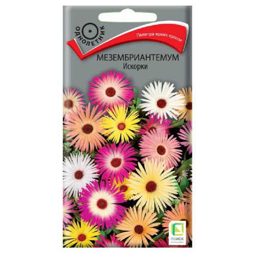 Мезембриантемум Искорки  0_3гр_10