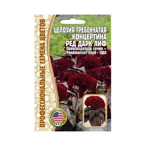 Целозия Концертина Ред Дарк Лиф гребенчатая 5шт _10