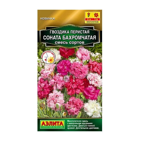 Гвоздика Соната бахромчатая_ смесь сортов 0_1гр_10