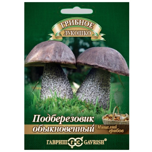 Грибы Подберезовик в субстрате  15мл_5