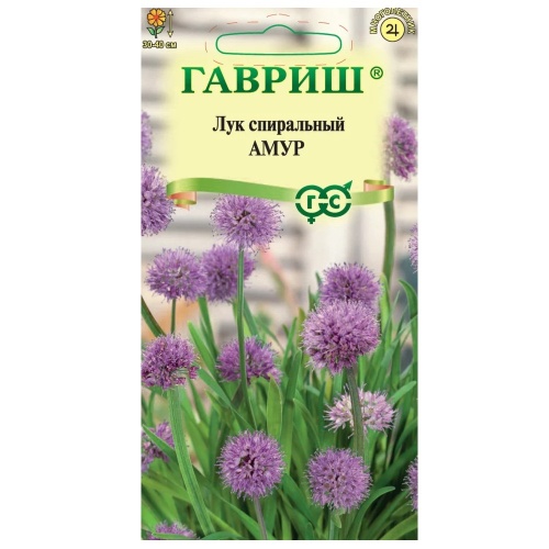 Лук декоративный спиральный Амур 0_1 гр_10