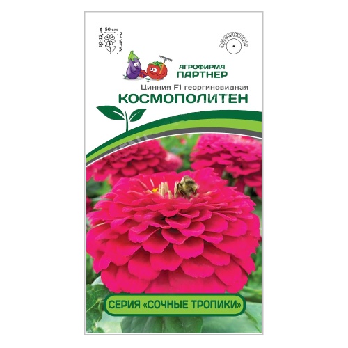 Цинния Космополитен  4шт_10