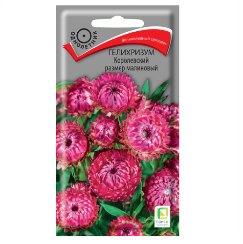 Гелихризум Королевский размер малиновый  0_1гр_10