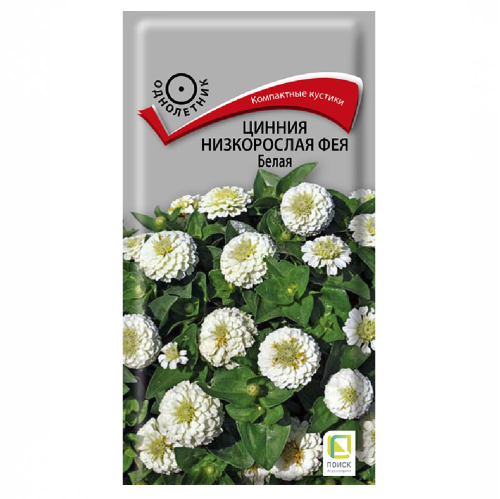 Цинния Фея Белая низкорослая  0_1гр_10