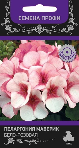Пеларгония Маверик Бело-розовая  5шт_10