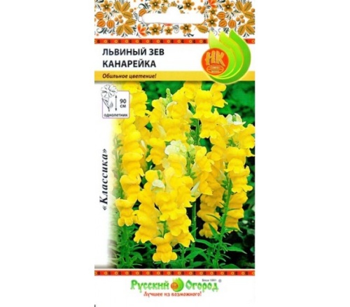 Львиный зев Канарейка  0_2гр_10_100