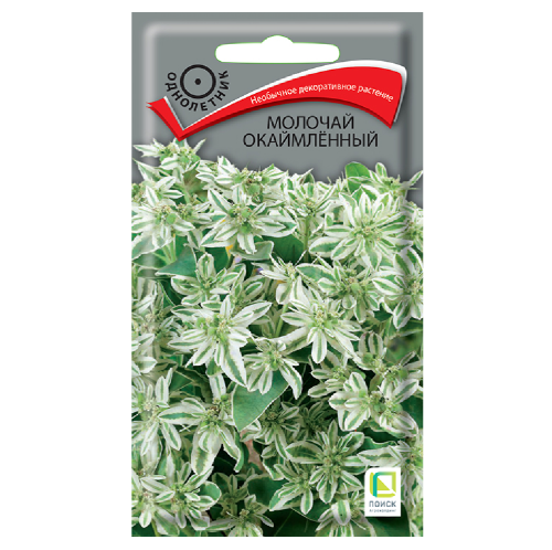 Молочай окаймленный  0_2гр_10