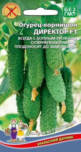 Огурец Директор F1 корнишон 8 шт_10