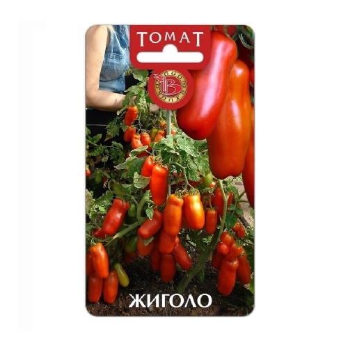 Томат Жиголо  20шт_5
