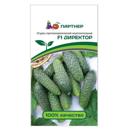 Огурец Директор F1  5шт_10