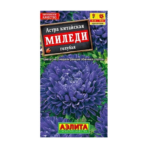Астра Миледи голубая  0_2гр_10
