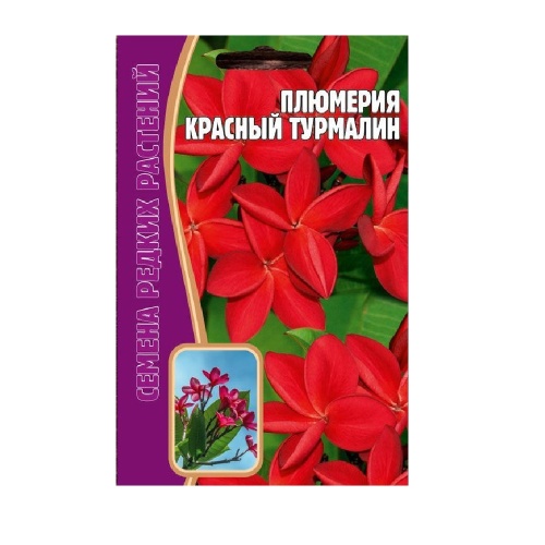 Плюмерия Красный Турмалин  3шт_10