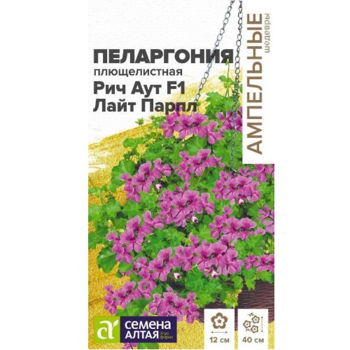 Пеларгония Рич Аут Лайт Парпл плющелистная  3шт _10