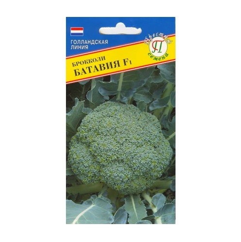 Капуста брокколи Батавия F1  10шт_10_50