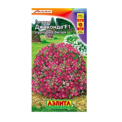 Петуния Джоконда F1 пурпурно-белая  5шт_10