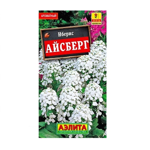 Иберис Айсберг однолетний 0_2гр  _10
