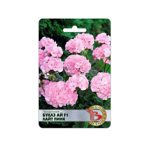 Пеларгония Буллз Ай F1 Лайт Пинк  5шт_5