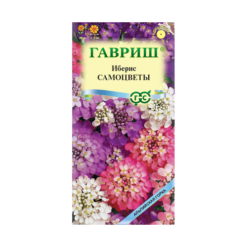 Иберис Самоцветы_Альпийская горка  0_1гр_10