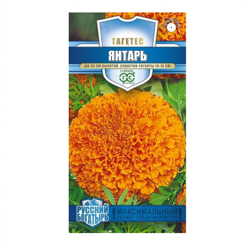 Бархатцы Янтарь прямостоячие_Русский богатырь  0_1гр_10 
