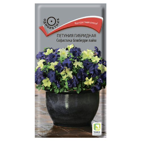 Петуния Софистика Блюберри Лайм гибридная  5шт_10