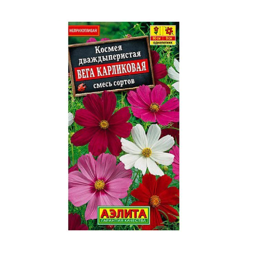 Космея Вега карликовая 0_3гр _10