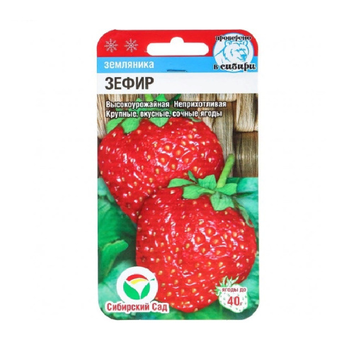 Земляника Зефир  10шт_10