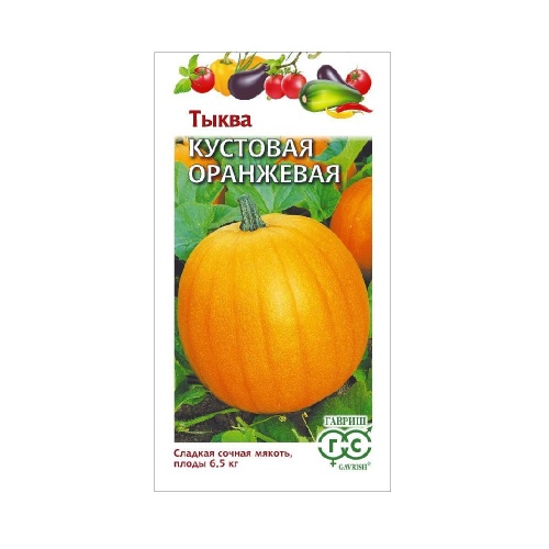 Тыква Кустовая оранжевая  1гр_10