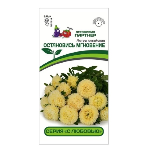 Астра Остановись мгновение китайская 5шт _10