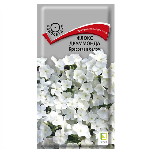 Флокс друммонда Красотка в белом  0_1гр_10