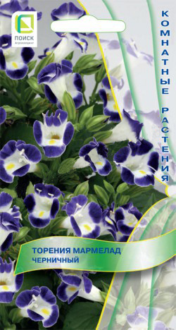 Торения Мармелад Черничный  5шт_10