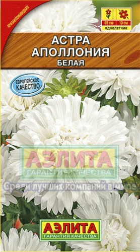 Астра Аполлония белая  0_2гр_10